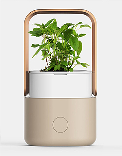 Smart Flower Pot